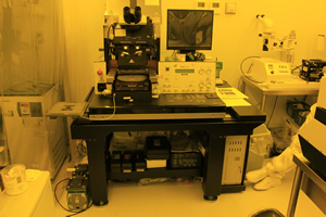Lab Culprit 2